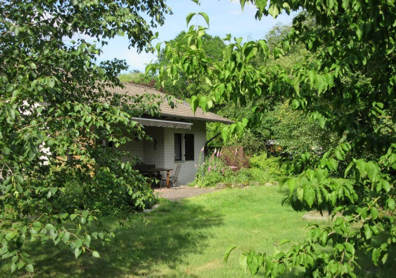 Ferienhaus Uchte / Darlaten Villa Exterior photo
